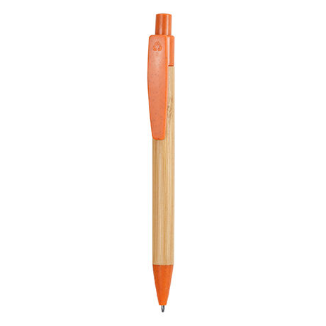 ESCRITURA STOA 3129 TALLA TA