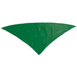 Pañoleta Plus VERDE