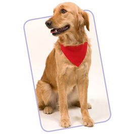 Collar Bandana Roco ROJO